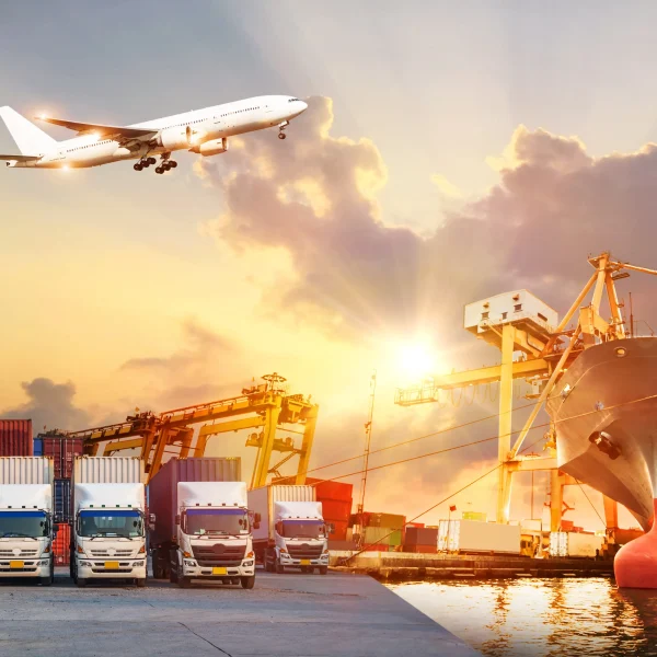 How to Minimize Transit Delays in International Freight Shipping